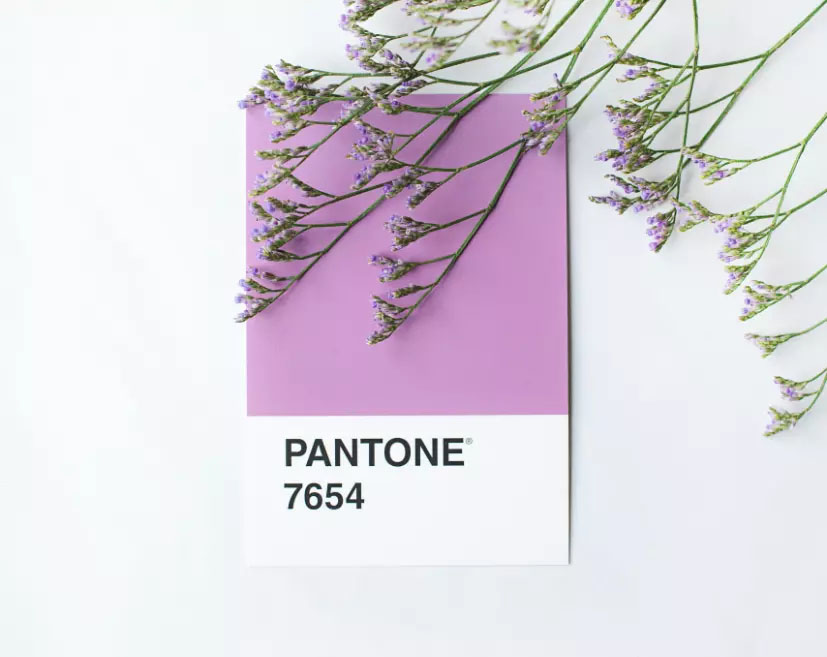 lila blommor pantone grafisk design